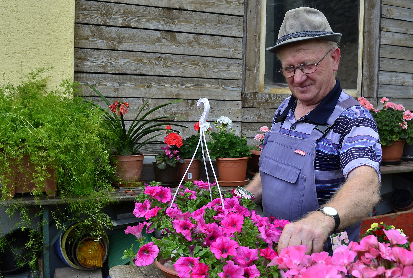 Heinrich Zenger Blumen